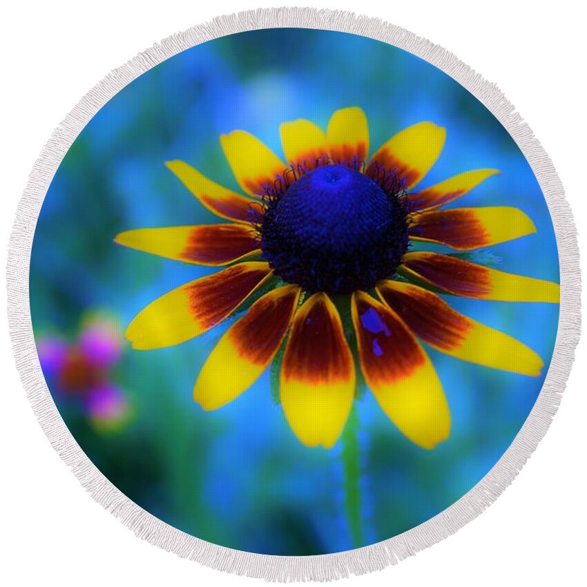 Flowers Round Beach Towel featuring the photograph Colors Match Me by Merle Grenz