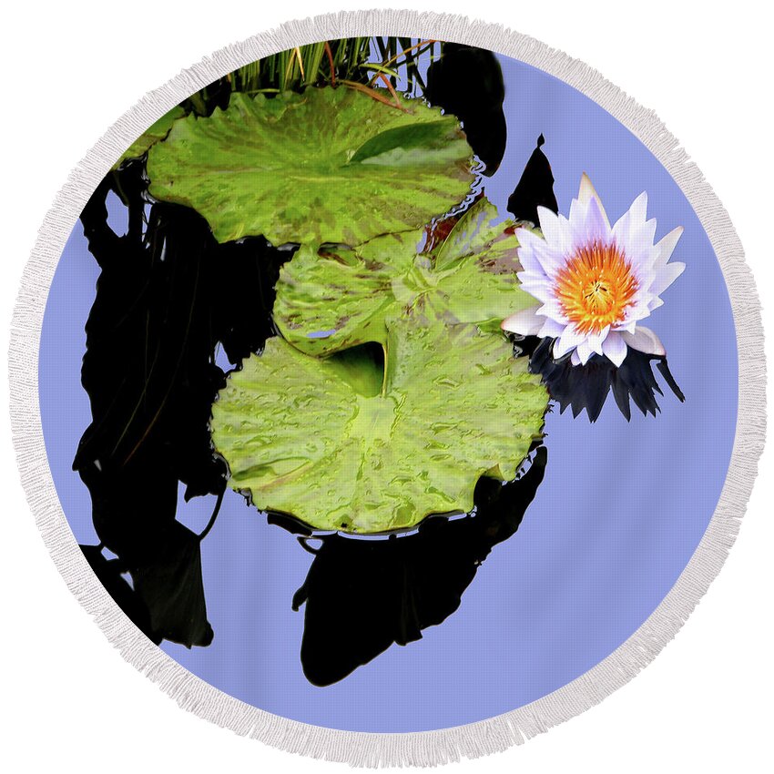 Water Lily Round Beach Towel featuring the photograph Composition with Water Lily by John Lautermilch