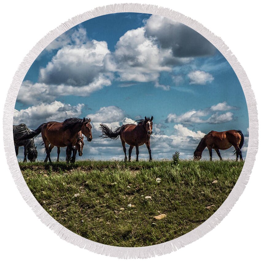 Horses Round Beach Towel featuring the photograph Conflab on a Hilltop by Kathy McClure