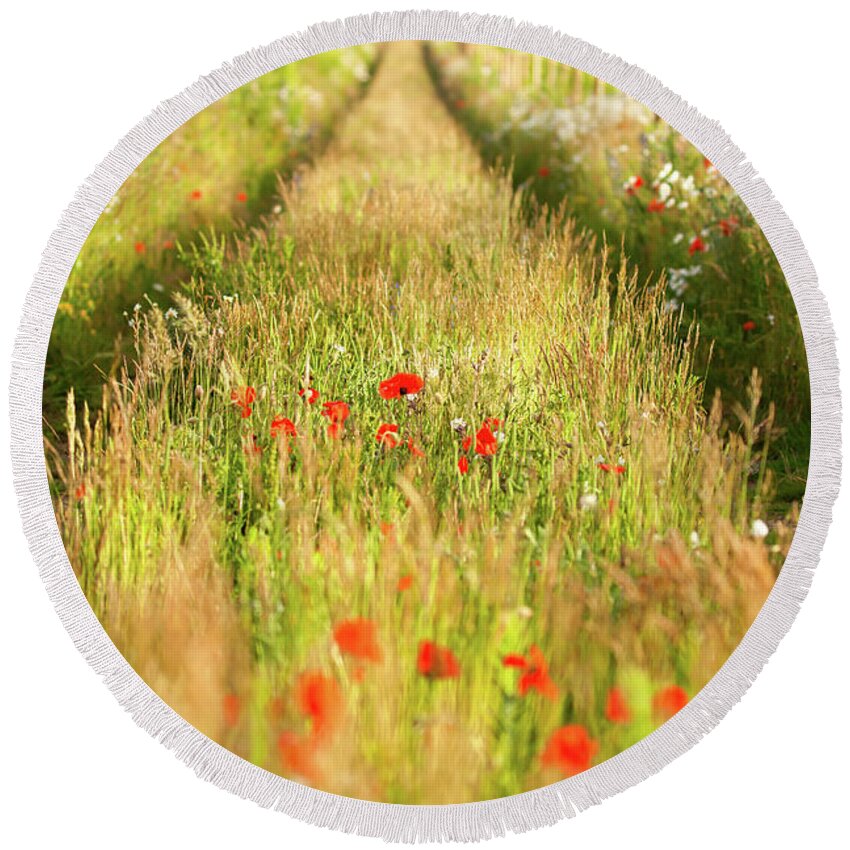 Converging Round Beach Towel featuring the photograph Converging tracks in a flower meadow by Simon Bratt