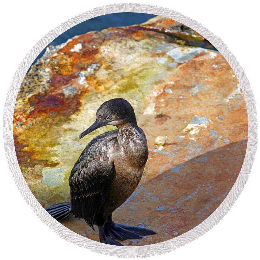 Cormorant Round Beach Towel featuring the photograph Double-Crested Cormorant by Anthony Jones
