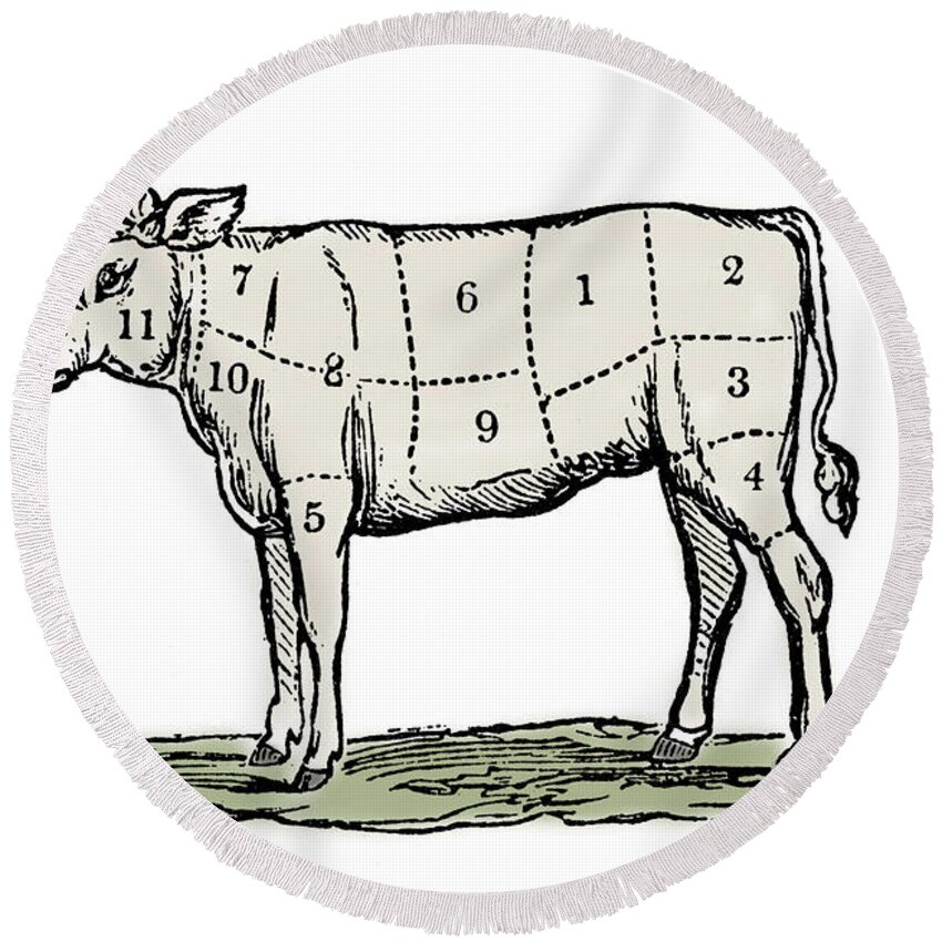 Cow Round Beach Towel featuring the drawing Cuts of Veal by European School