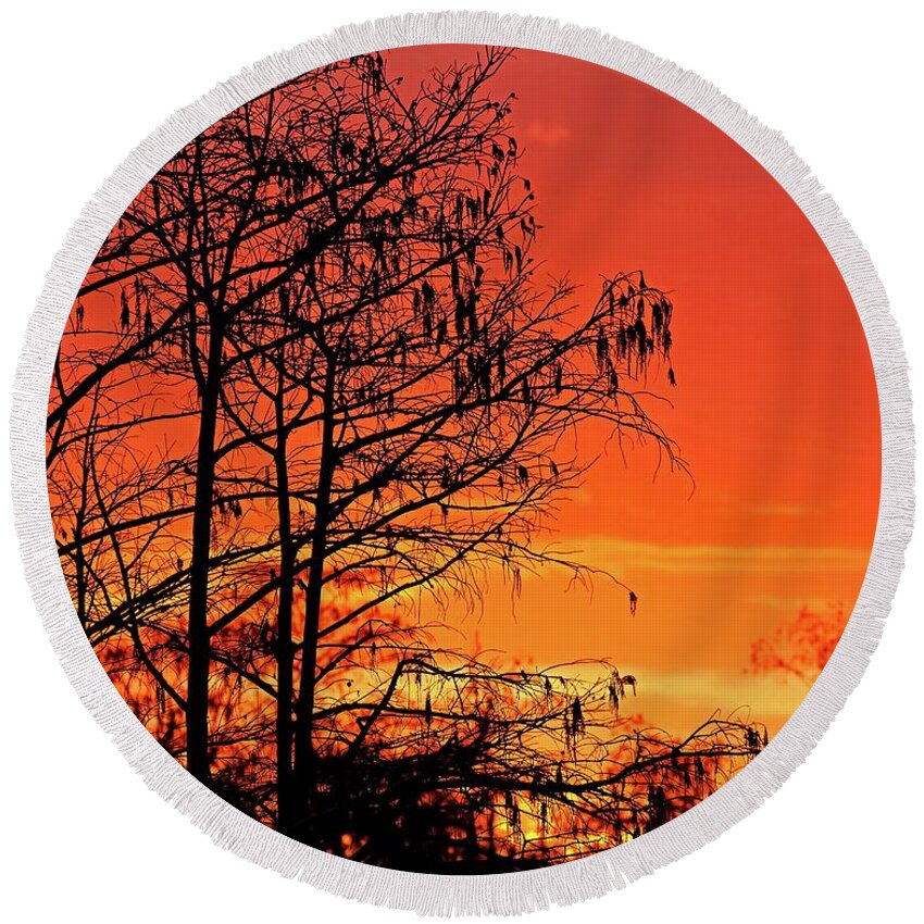 Sky Round Beach Towel featuring the photograph Cypress Swamp Sunset by Steve DaPonte