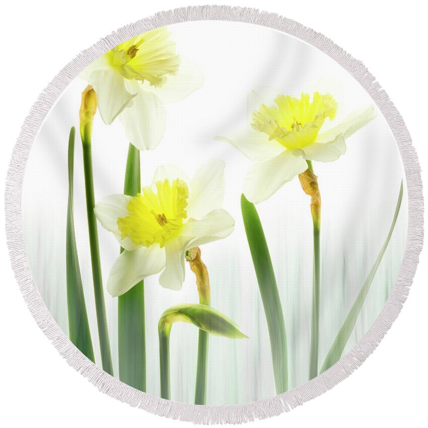 Summer Round Beach Towel featuring the photograph Daffodils in a meadow. by Usha Peddamatham