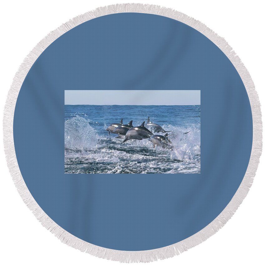 California Round Beach Towel featuring the photograph Dancing Dolphins by Cheryl Strahl