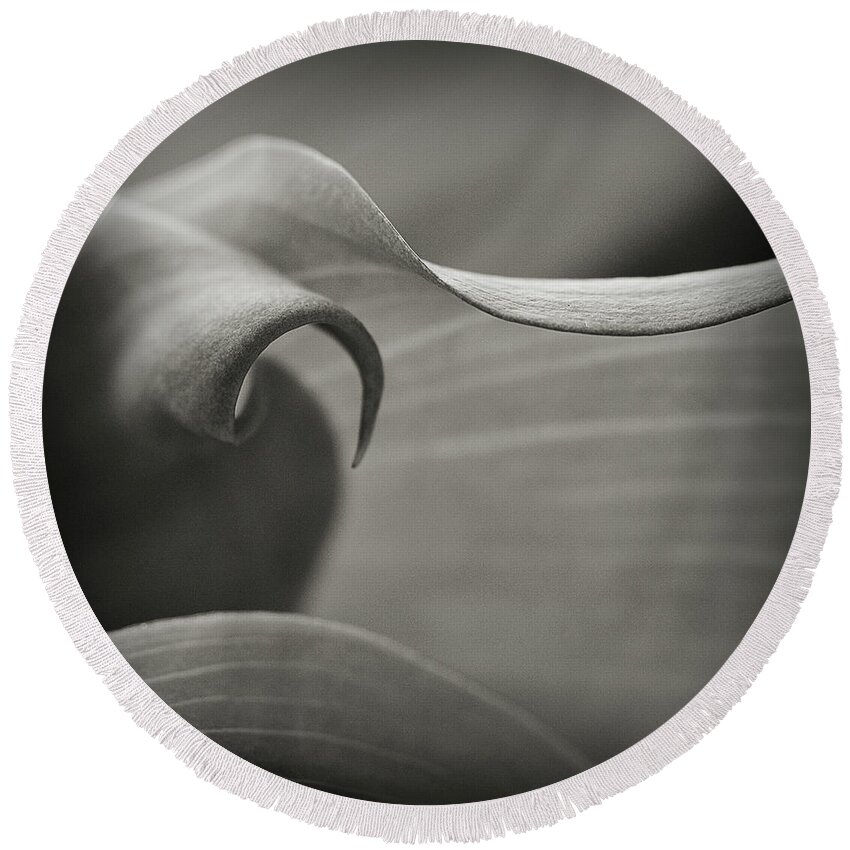 Calla Lily Round Beach Towel featuring the photograph Delve Deeper by Michelle Wermuth