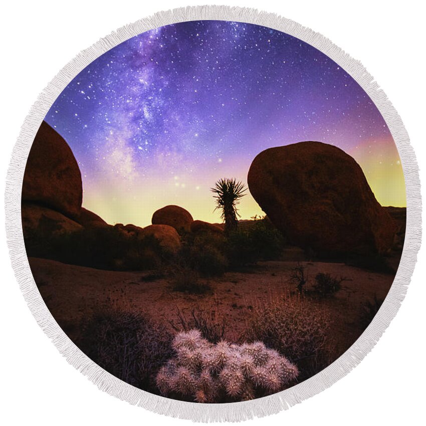 Cholla Round Beach Towel featuring the photograph Deserted by Tassanee Angiolillo