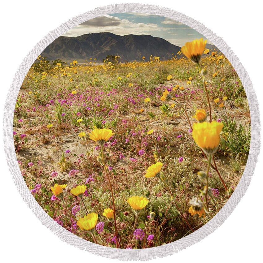 Flowers Round Beach Towel featuring the photograph Deset Bloom 2 by Ryan Weddle