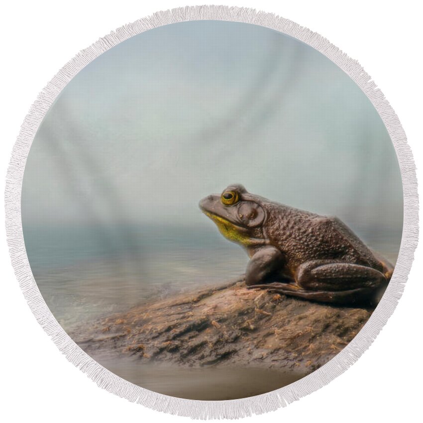Frog Round Beach Towel featuring the photograph Dreaming by Cathy Kovarik