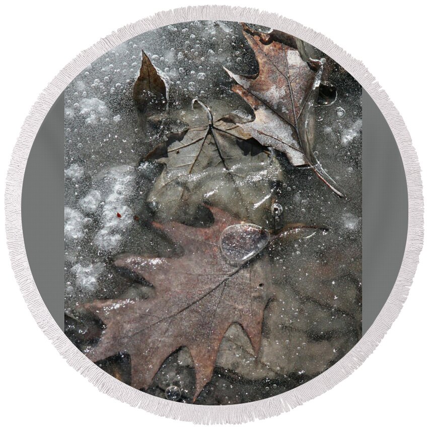Leaf Round Beach Towel featuring the photograph Dreamy Leaves-IV by Patricia Overmoyer