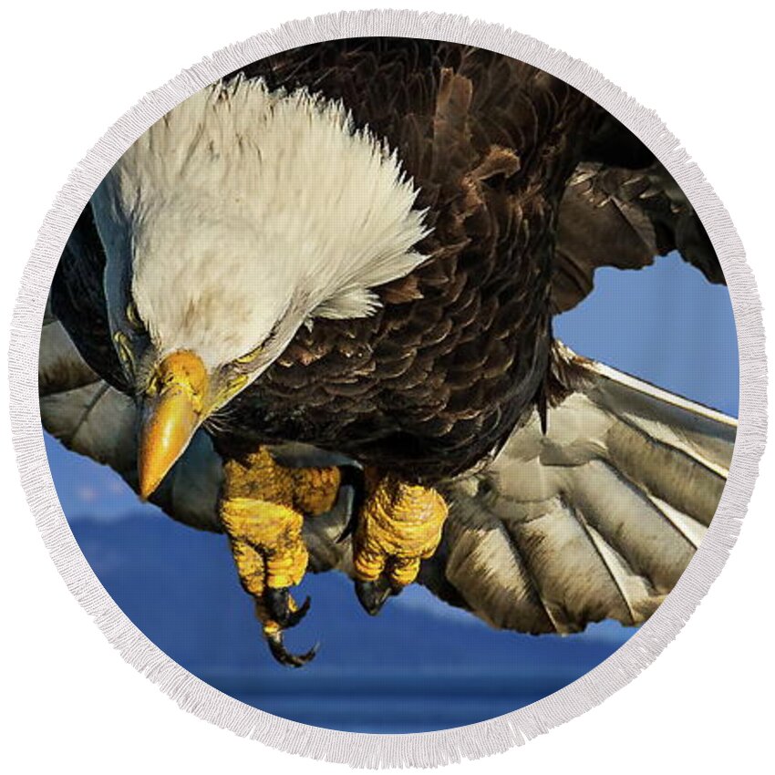 Eagle Round Beach Towel featuring the photograph Eagle Fishing in Glacier Bay Alaska by Russ Harris