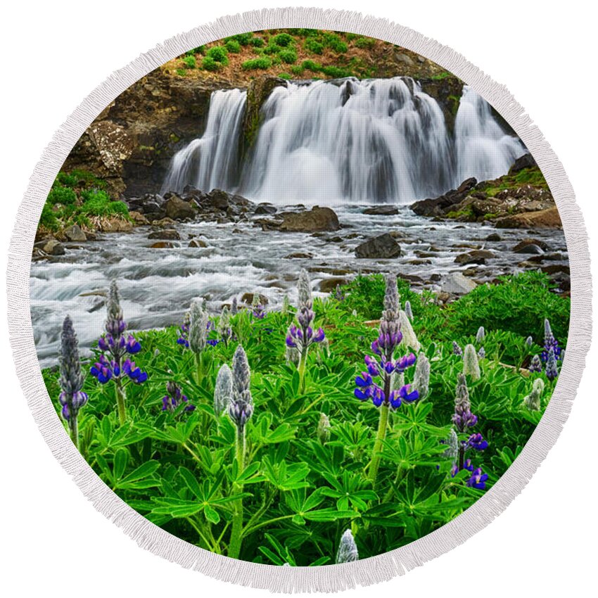 Lazy Round Beach Towel featuring the photograph Early Spring Lupine by Amanda Jones