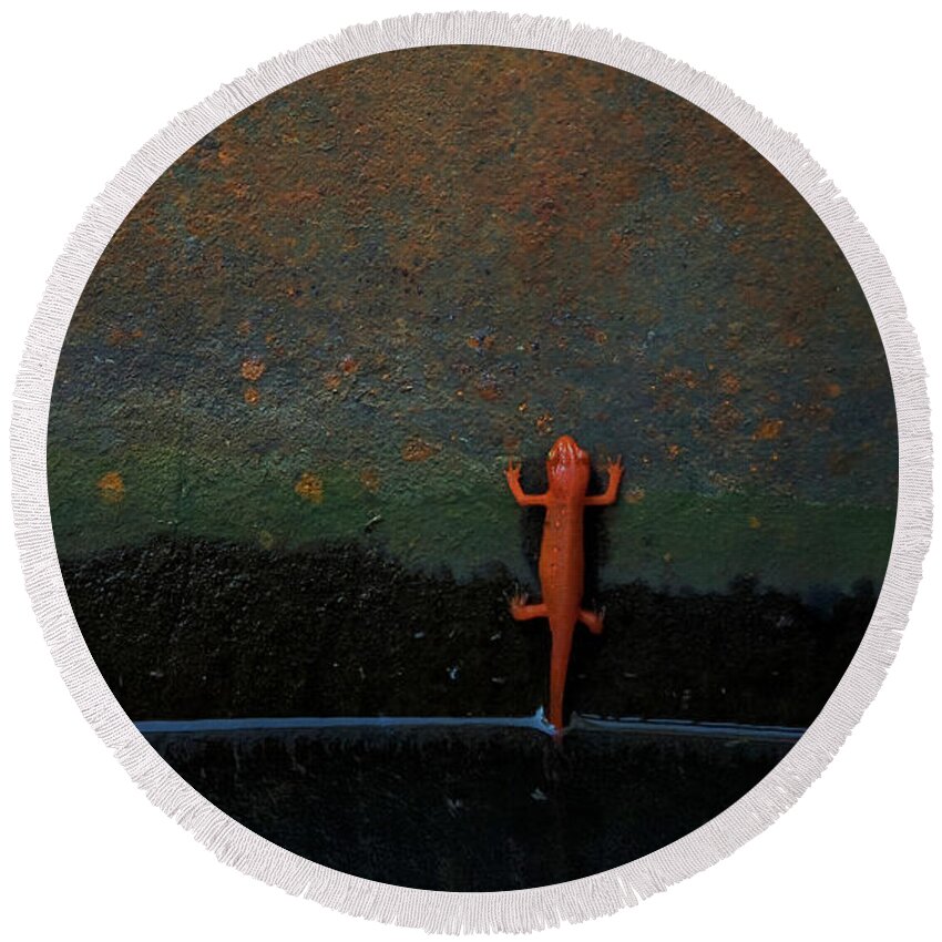 Red Eft Round Beach Towel featuring the photograph Eft Is For Effort by Jerry LoFaro