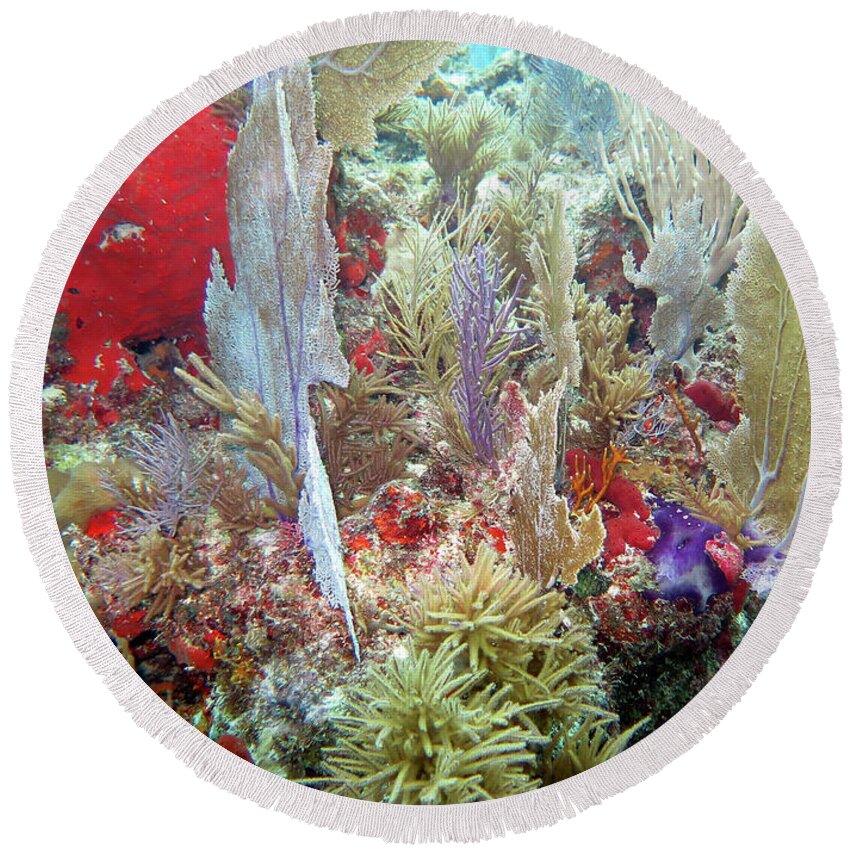 Underwater Round Beach Towel featuring the photograph Elbow Reef 5 by Daryl Duda