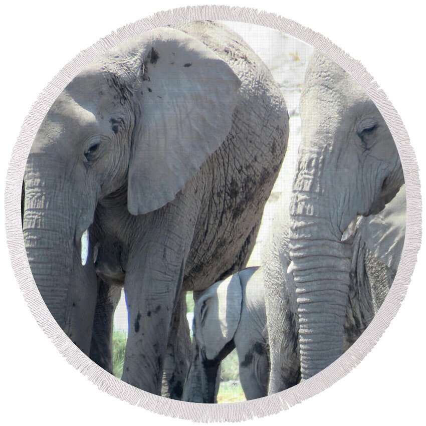  Round Beach Towel featuring the photograph Elephants by Eric Pengelly