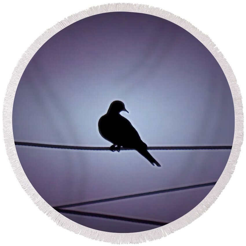 Affordable Round Beach Towel featuring the photograph Eurasian Dove Silhouette by Judy Kennedy