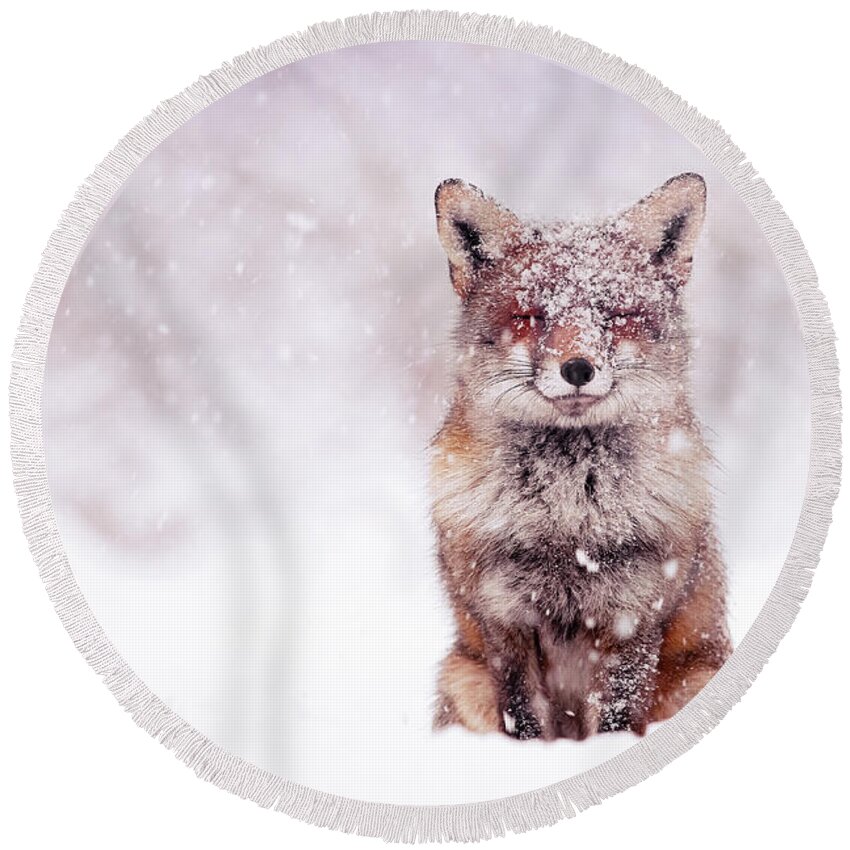 Red Fox Round Beach Towel featuring the photograph Fairytale Fox Series - Happy Fox by Roeselien Raimond
