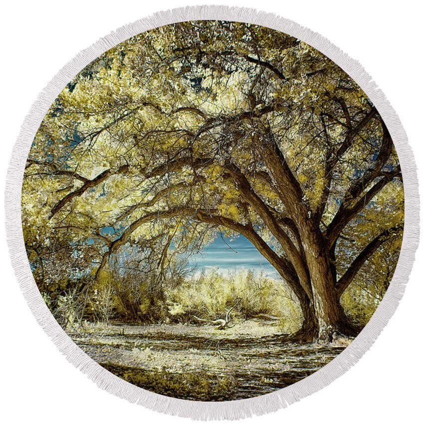 Cottonwood Round Beach Towel featuring the photograph Fall Beauty in the Bosque by Michael McKenney