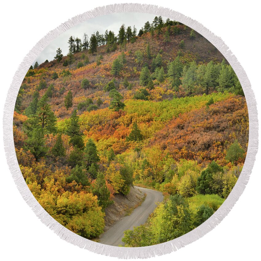 Ouray Round Beach Towel featuring the photograph Fall Colors Adorn Hills near Ridgway Colorado by Ray Mathis