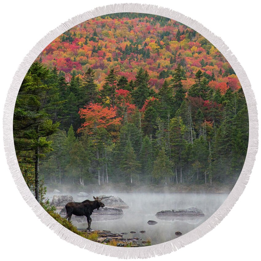 Moose Round Beach Towel featuring the photograph Fall Morning on the Pond by Jane Axman