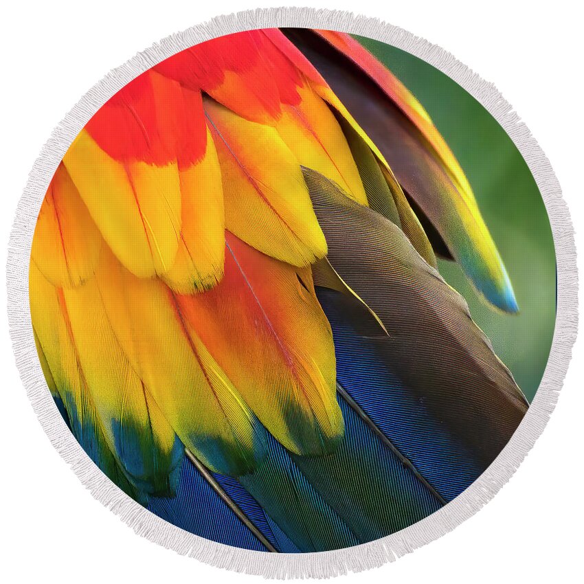 Feathers Round Beach Towel featuring the photograph Feather Fantasia 3 by Ginger Stein