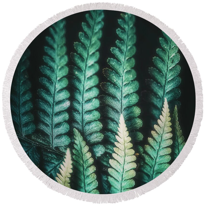 Fern Round Beach Towel featuring the photograph Fern #14 by Philippe Sainte-Laudy