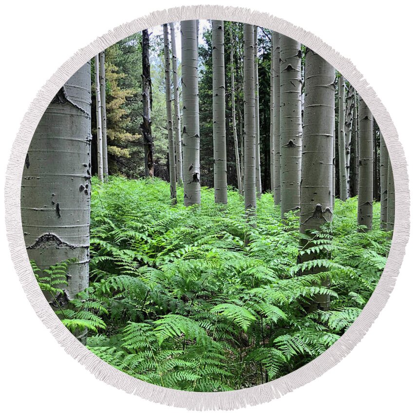 Arizona Round Beach Towel featuring the photograph Ferns in an Aspen Grove by Jeff Goulden