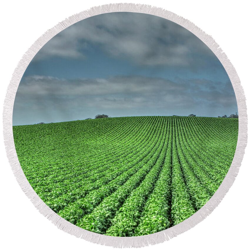 Agriculture Round Beach Towel featuring the photograph Field 4 by SC Heffner