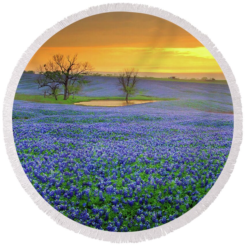 Texas Bluebonnets Round Beach Towel featuring the photograph Field of Dreams Texas Sunset - Texas Bluebonnet wildflowers landscape flowers by Jon Holiday