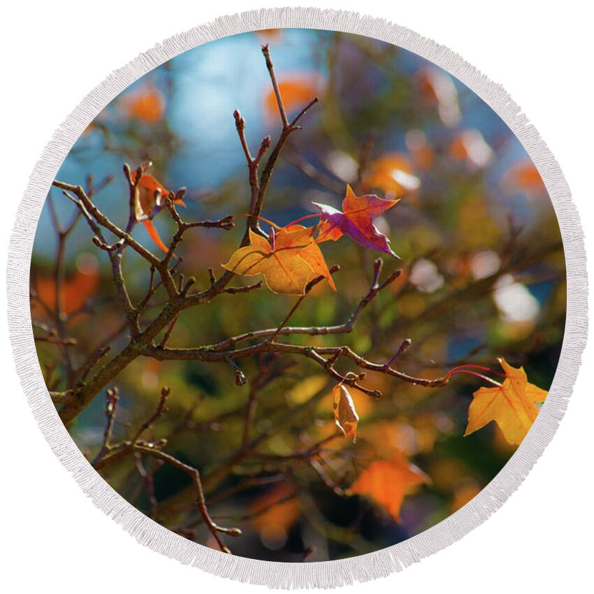 Fall Leaves Round Beach Towel featuring the photograph Fiery Autumn by Bonnie Bruno