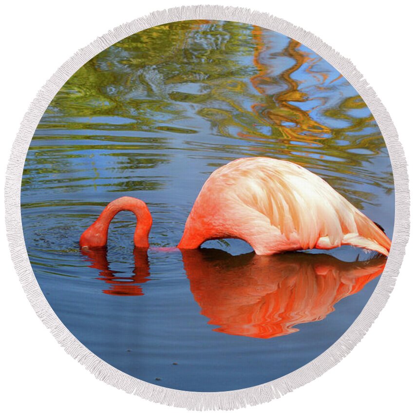 Nature Round Beach Towel featuring the photograph Flamingo Curves by Mariarosa Rockefeller