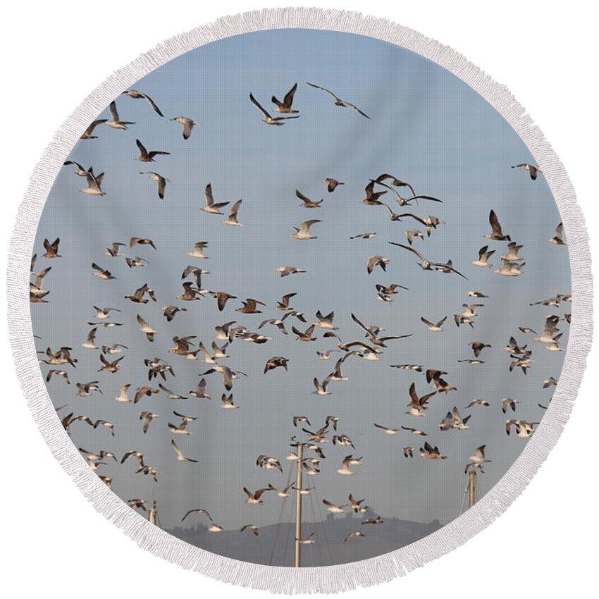 Sea Round Beach Towel featuring the photograph Flock in Flight - 4 by Christy Pooschke