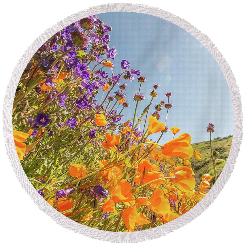 Flowers Round Beach Towel featuring the photograph Flora 10 by Ryan Weddle