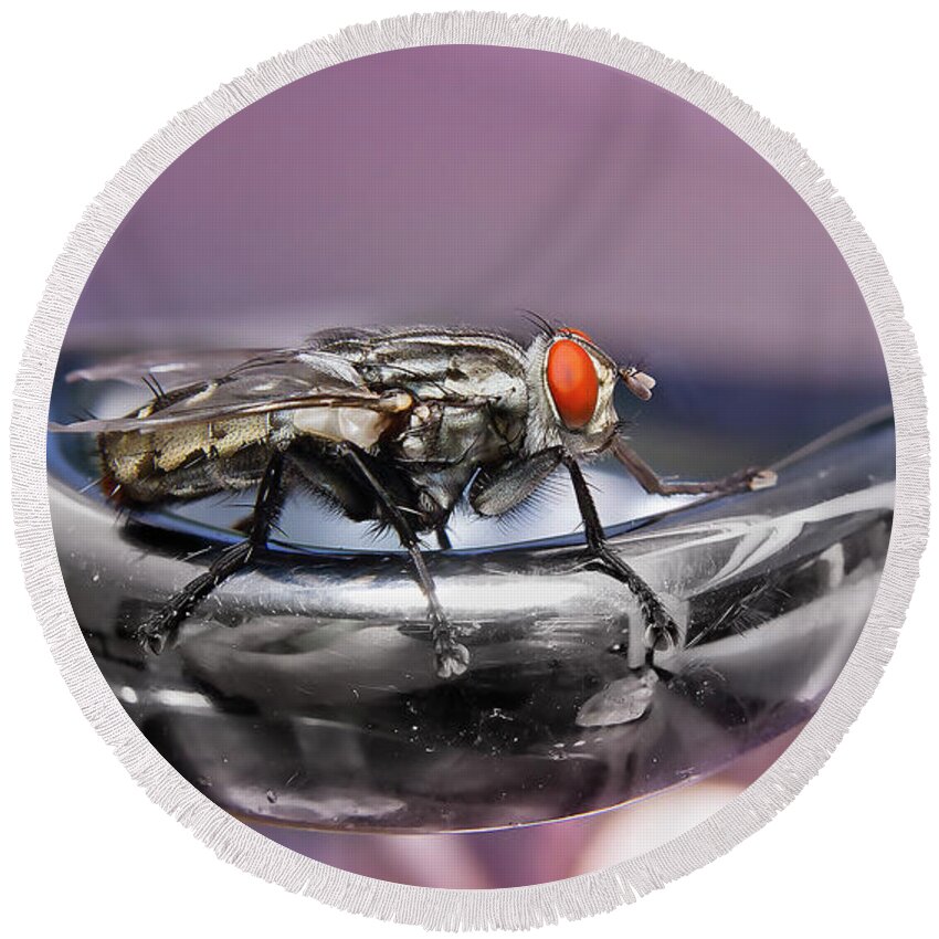 Macro Photography Round Beach Towel featuring the digital art Fly on a tap 0122 by Kevin Chippindall