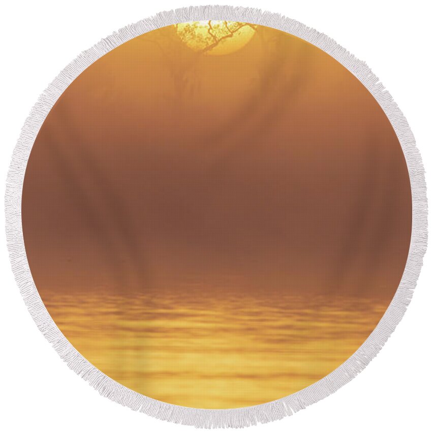 Central Florida Round Beach Towel featuring the photograph Foggy Wetlands Sunrise by Stefan Mazzola