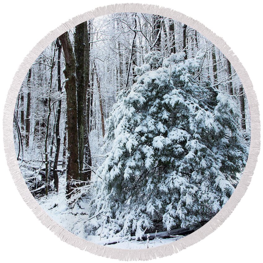 Snow Round Beach Towel featuring the photograph Forest Evergreen by Mike Eingle