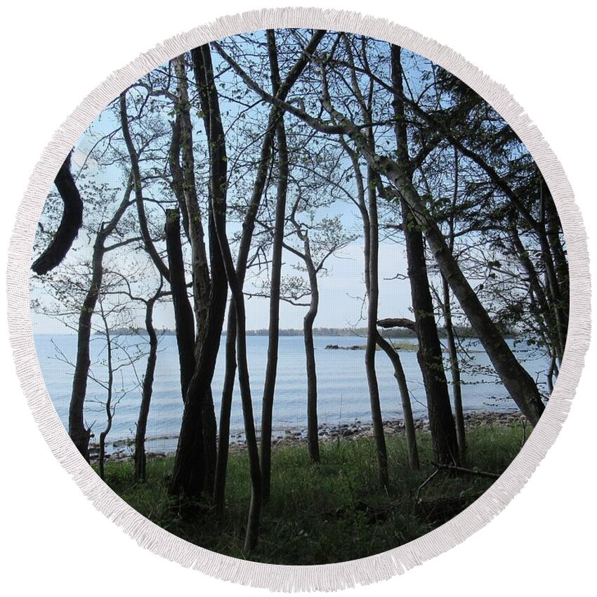 Riddersholm Round Beach Towel featuring the photograph Forest in Riddersholm Naturreservat by Chani Demuijlder