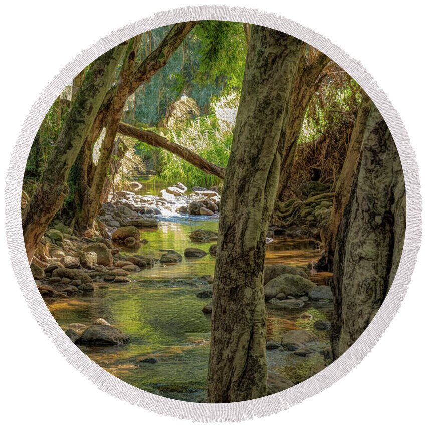 Hawaii Round Beach Towel featuring the photograph Forever Flowing Rainwater by G Lamar Yancy