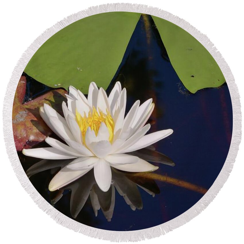 Water Lily Round Beach Towel featuring the photograph Fragrant Water Lily by Bradford Martin