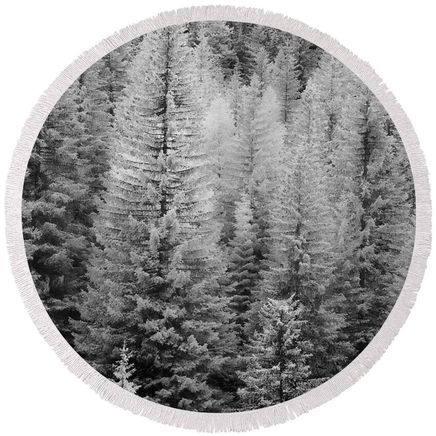 Decor Round Beach Towel featuring the photograph French Alps Trees by Jon Glaser
