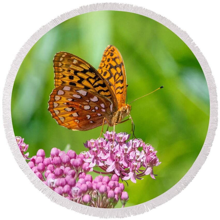 Butterfly Round Beach Towel featuring the photograph Friendly Fritillary by Linda Bonaccorsi