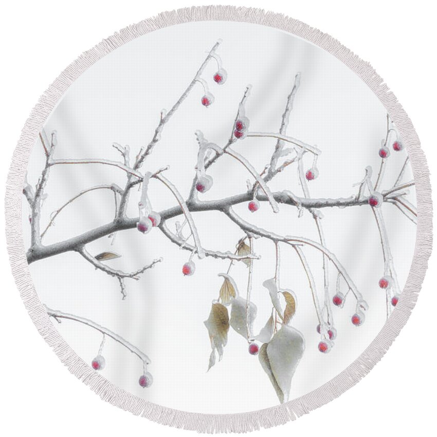 Winter Round Beach Towel featuring the photograph Frosted Berries by Darren White
