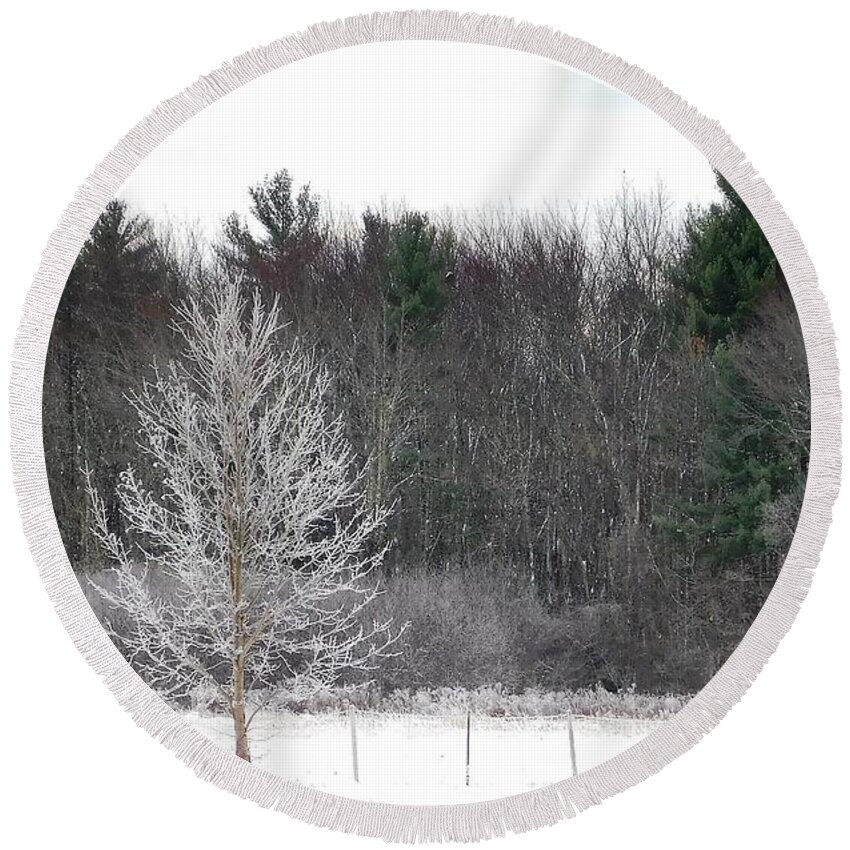 Snow Round Beach Towel featuring the photograph - Frozen Tree by THERESA Nye
