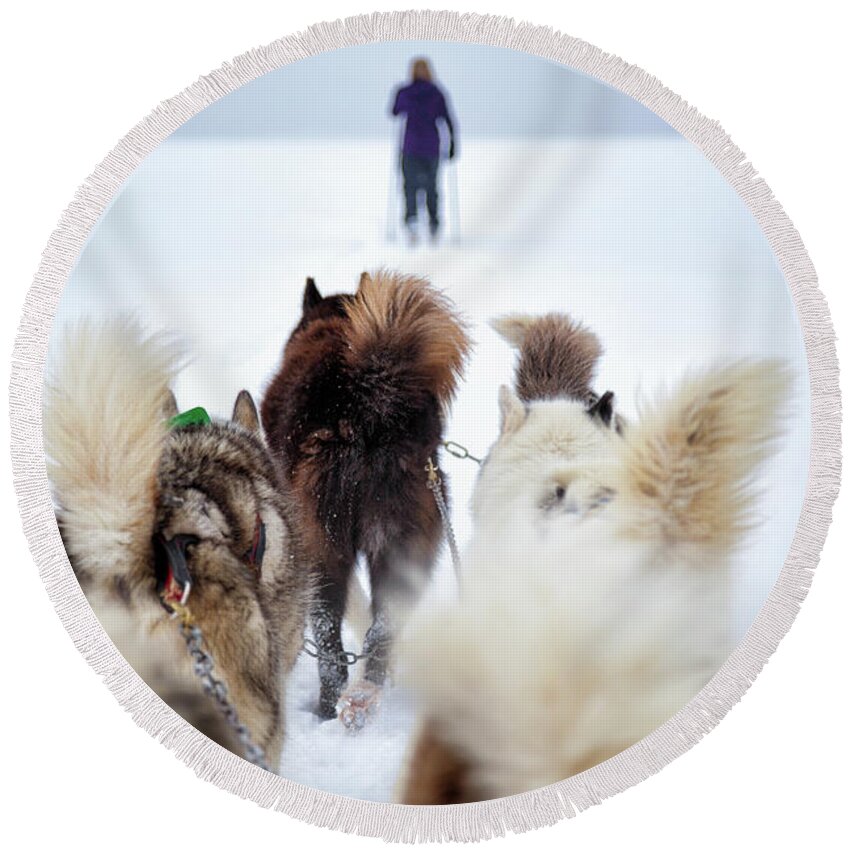 Dog Round Beach Towel featuring the photograph Fuzzy Tails Across the Snow by Becqi Sherman