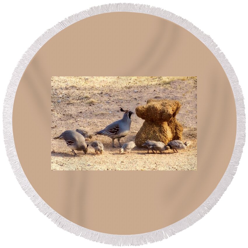 Arizona Round Beach Towel featuring the photograph Gambel's Quail Family by Judy Kennedy
