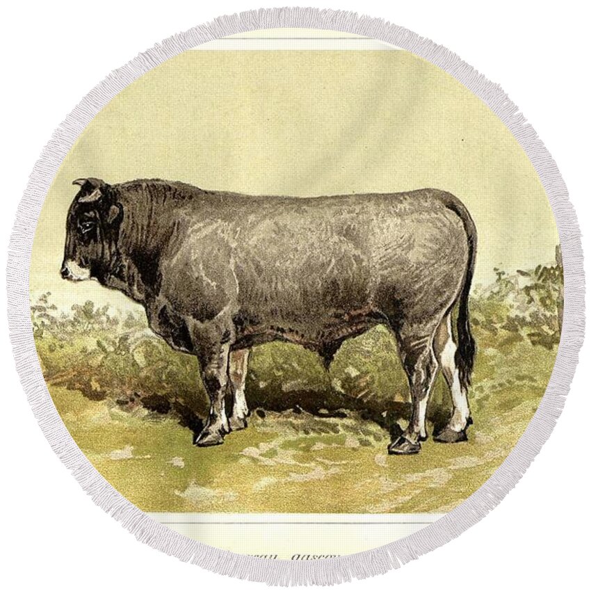 Bull Round Beach Towel featuring the painting Gascon bull 1895 by Celestial Images