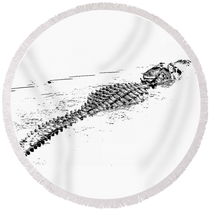 Alligator Round Beach Towel featuring the photograph Gator Crossing by Michael Allard
