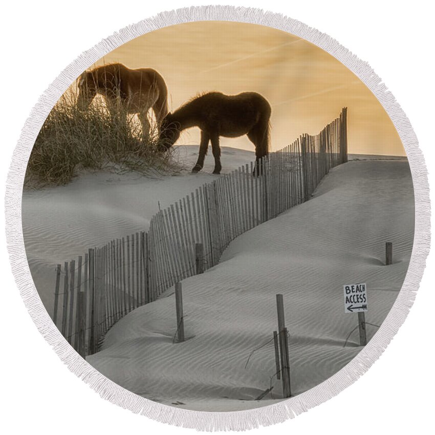 Corolla Horses Round Beach Towel featuring the photograph Golden Horses by Russell Pugh