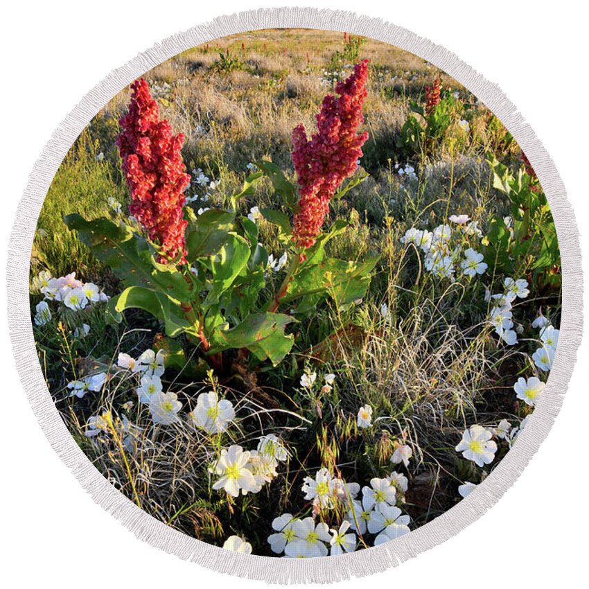 Ruby Mountain Round Beach Towel featuring the photograph Grand Junction Wildflowers by Ray Mathis