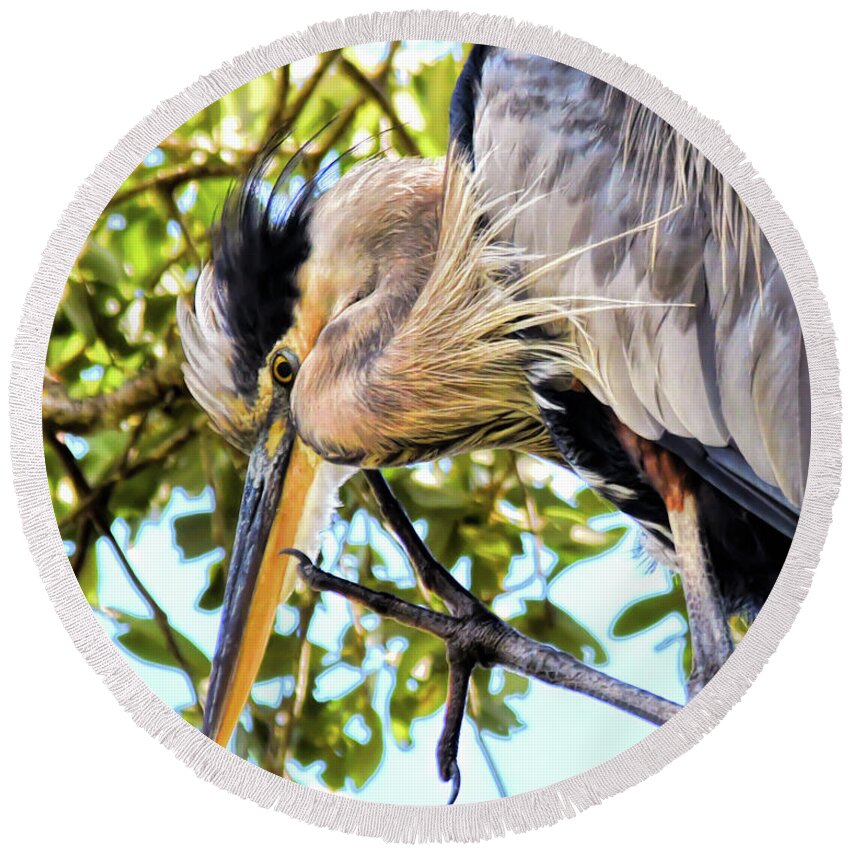 Great Blue Heron Round Beach Towel featuring the photograph Great Blue Heron Close Up by Kerri Farley
